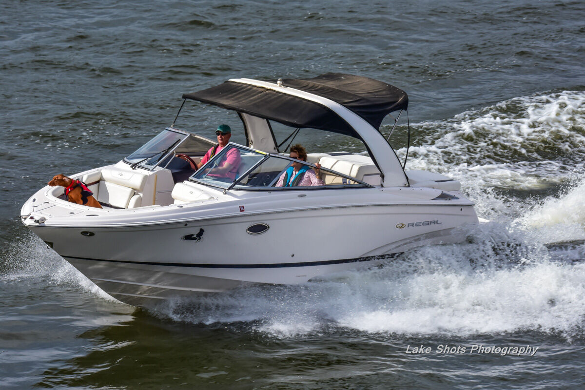 Fall Harbor Hop-1405.jpg